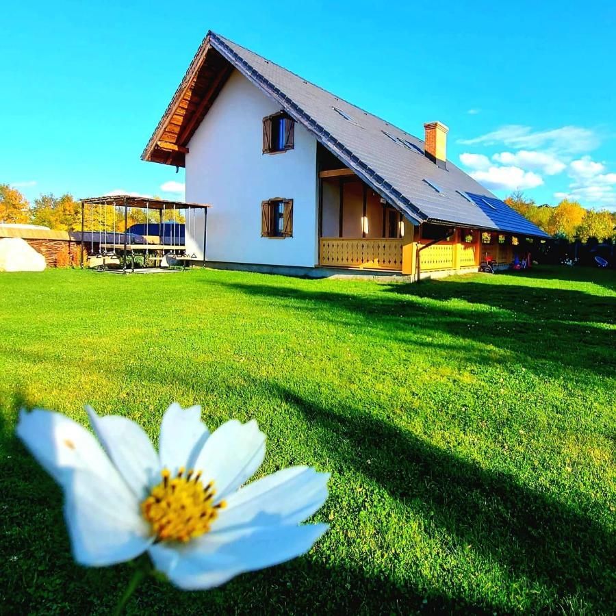 Cuibul Braneanului Hotel Bran  Exterior foto