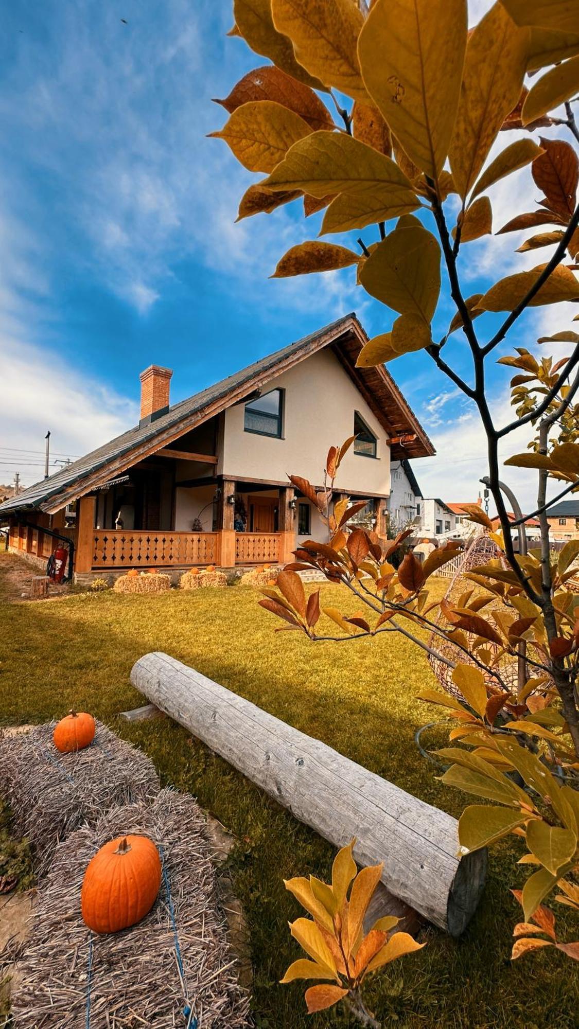 Cuibul Braneanului Hotel Bran  Exterior foto